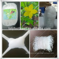 Plastic Vegetable Climbing plant support net